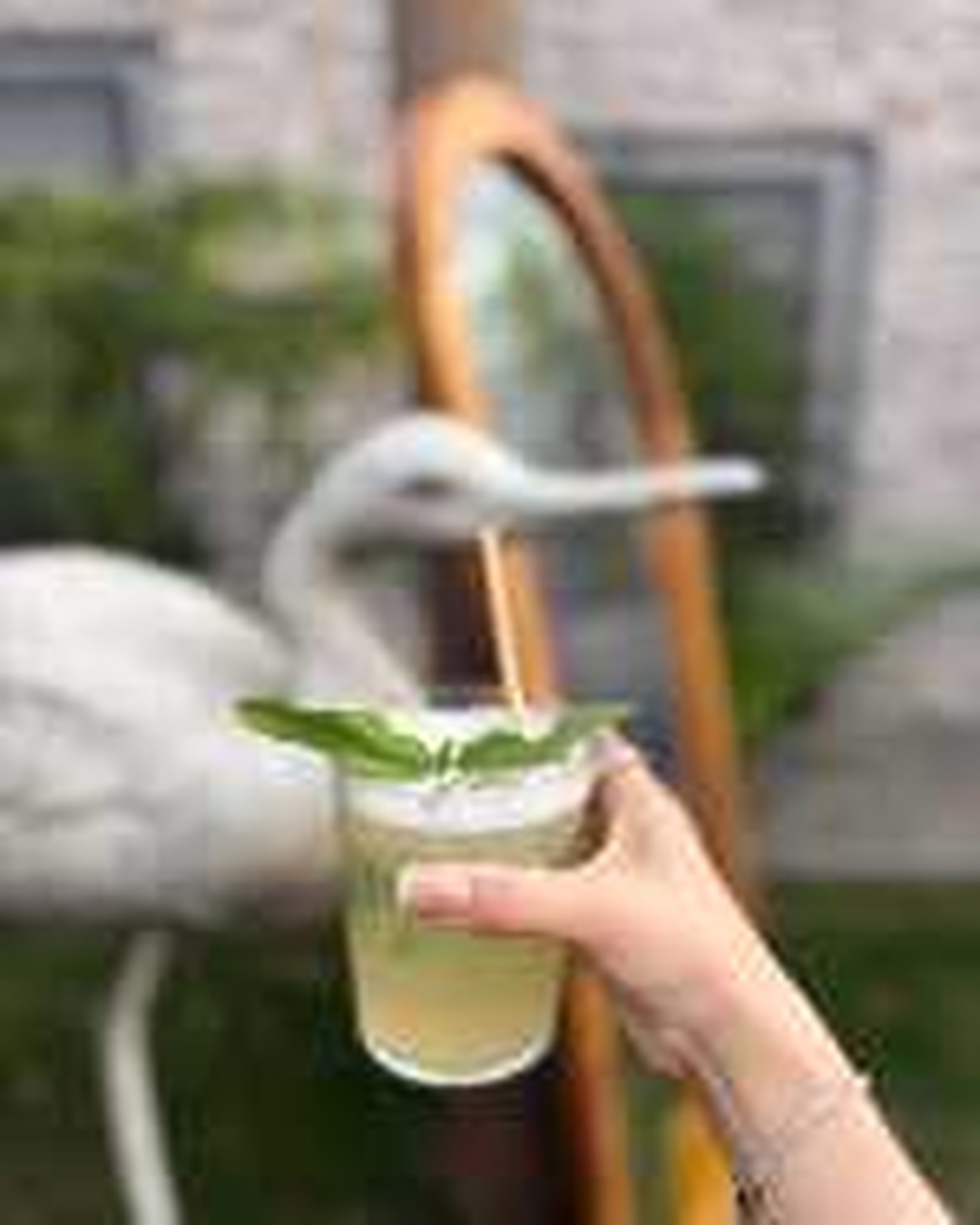 Cool Lime