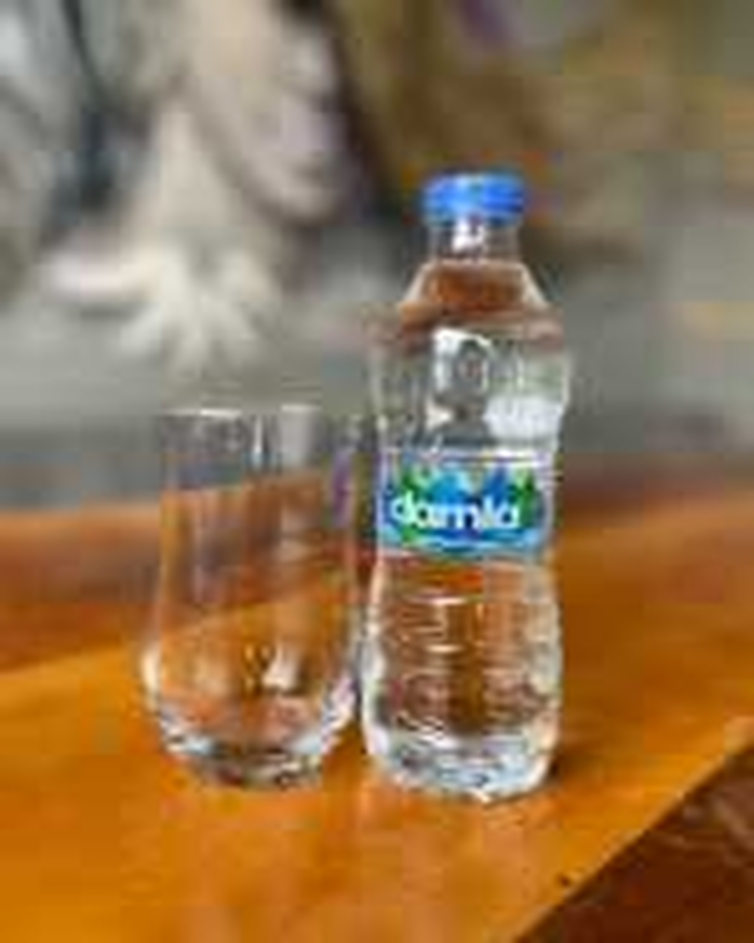 Bottled Water (0.5 L)
