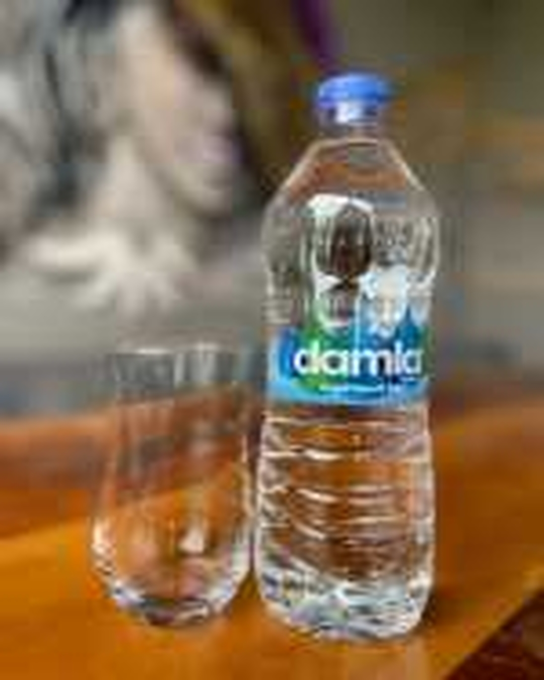 Bottled Water (1 L)