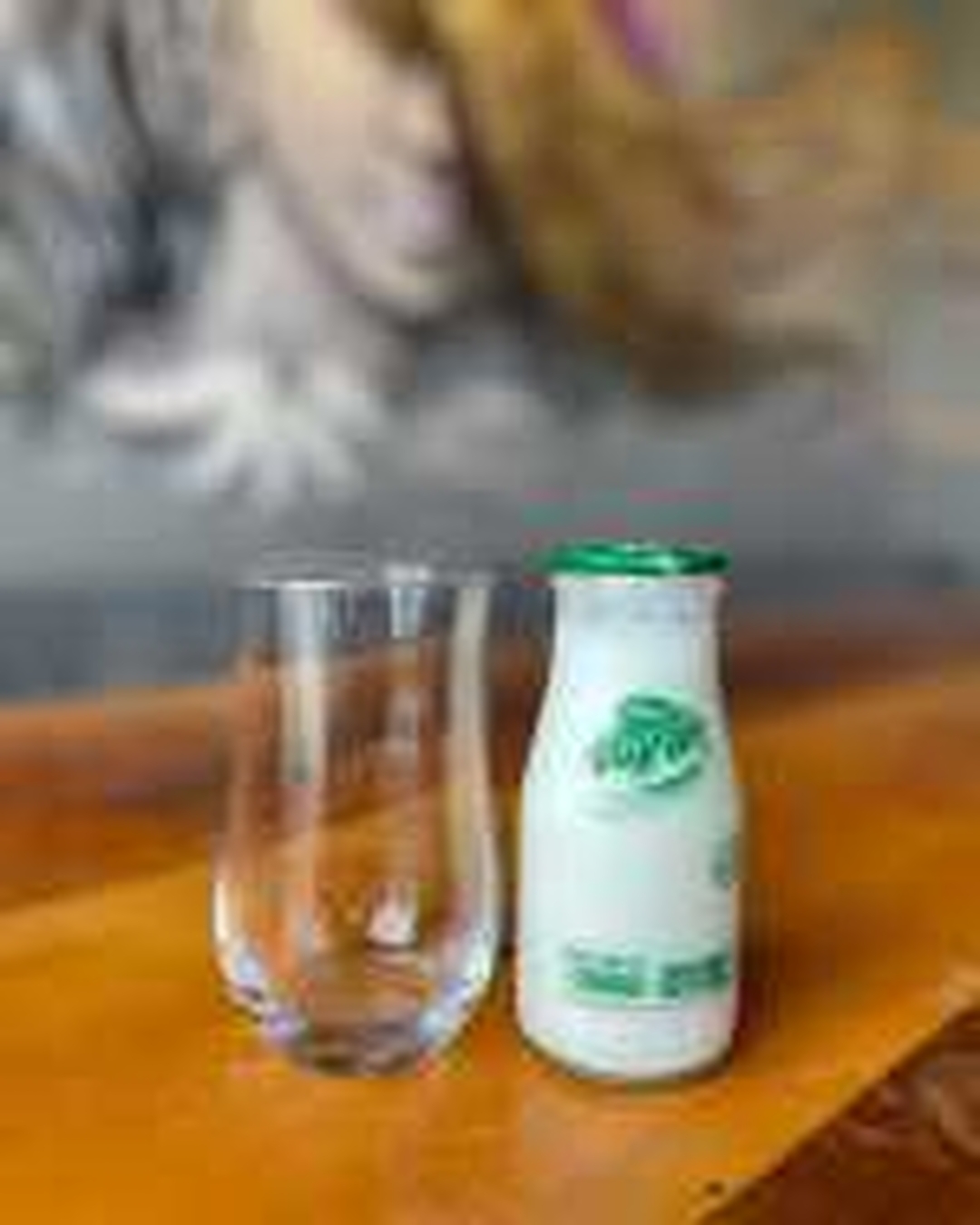 Ayran