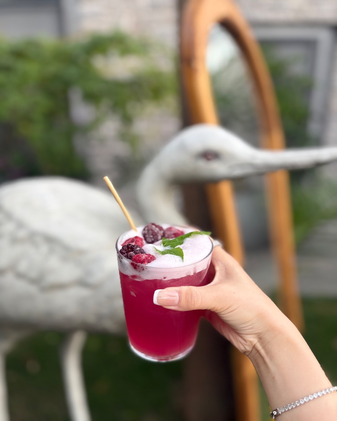 Berry Hibiskus